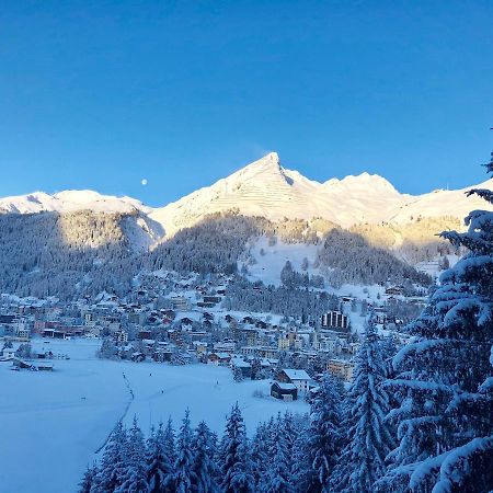 Studio Mattawaldstrasse Lägenhet Davos Exteriör bild