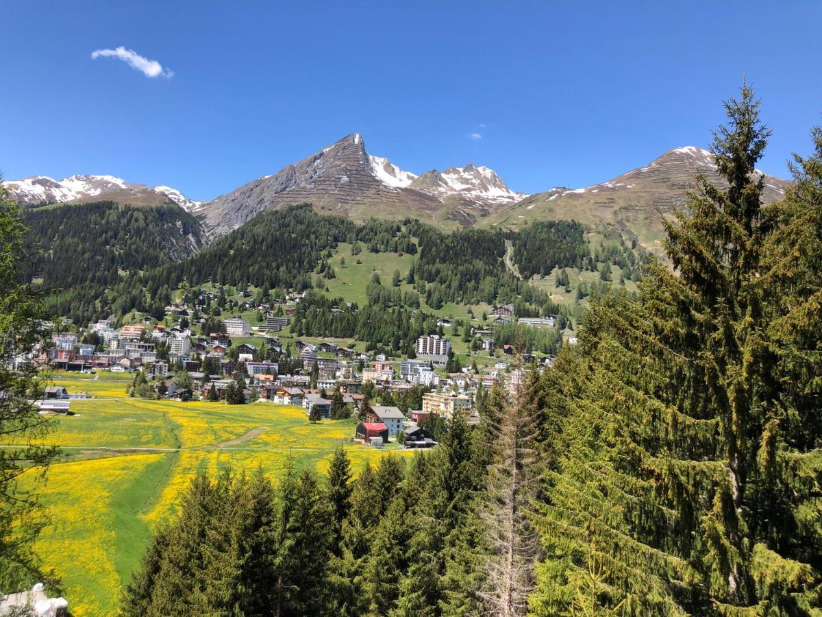 Studio Mattawaldstrasse Lägenhet Davos Exteriör bild