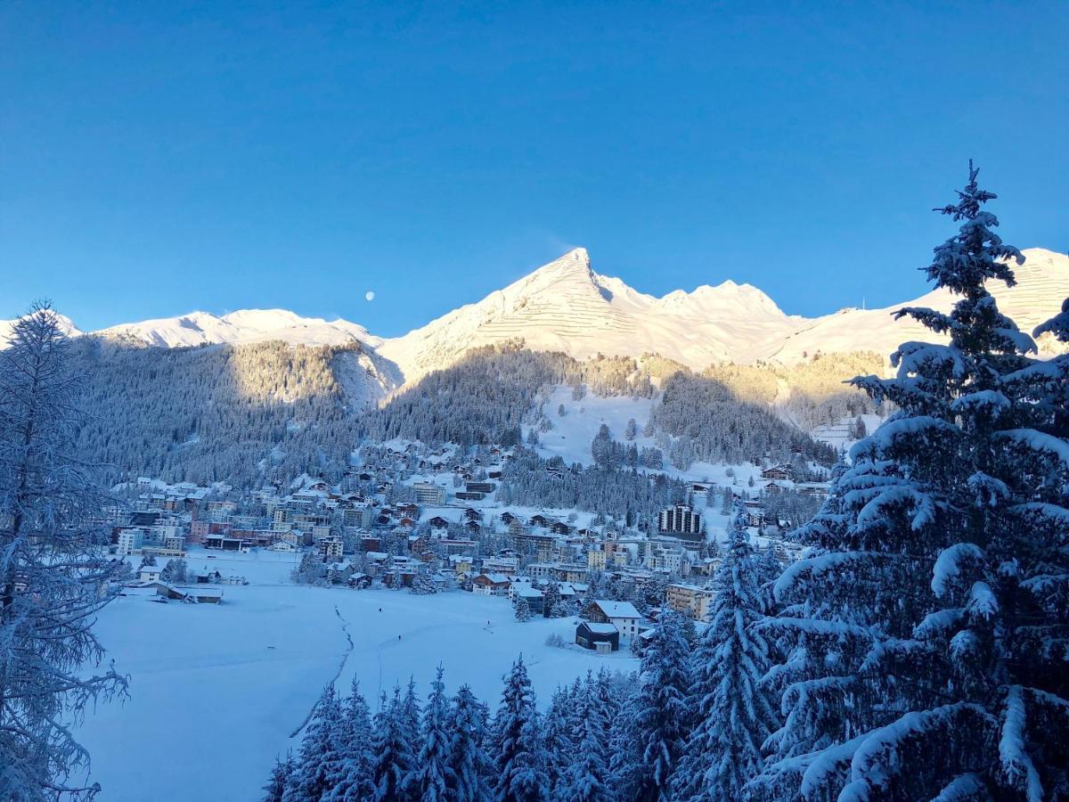 Studio Mattawaldstrasse Lägenhet Davos Exteriör bild